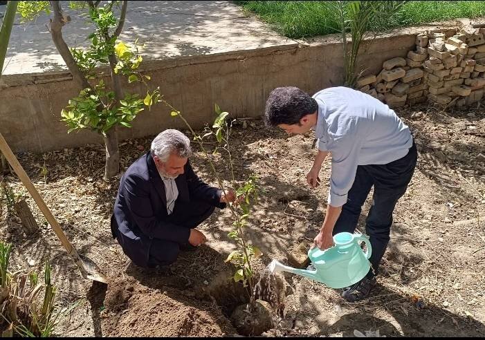 کتابخانه های عمومی استان مزین به بیش از یکصد و بیست نهال به نام امام شهید شدند