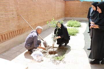 پوش باغ امین اداره کل خوزستان