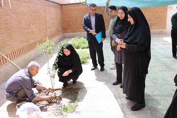 پوش باغ امین اداره کل خوزستان