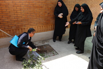 پوش باغ امین اداره کل خوزستان