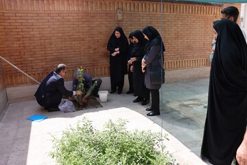پوش باغ امین اداره کل خوزستان