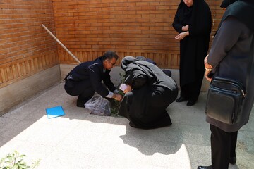 پوش باغ امین اداره کل خوزستان