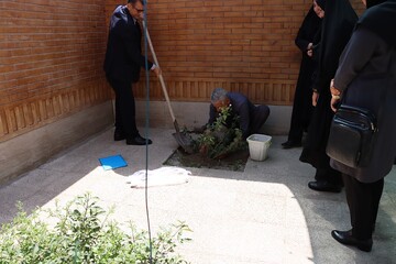 پوش باغ امین اداره کل خوزستان