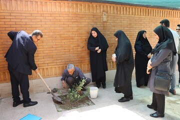 پوش باغ امین اداره کل خوزستان