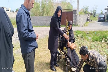غرس نهال گیلان