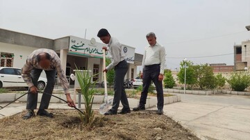 پویش باغ امین