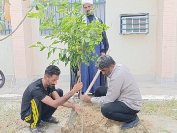 پویش باغ امین