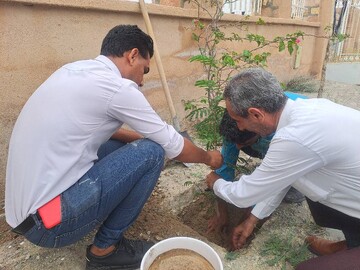 پویش باغ امین