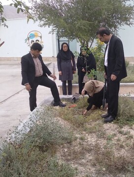 پویش باغ امین