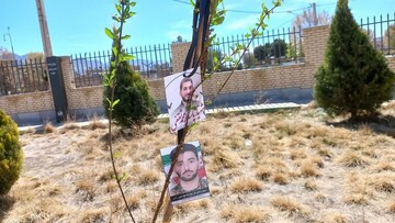 کاشت نهال ثمرده در کتابخانه‌های منتخب اصفهان؛ گرامیداشت یاد رهبر شهید انقلاب