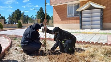کاشت نهال ثمرده در کتابخانه‌های منتخب اصفهان؛ گرامیداشت یاد رهبر شهید انقلاب
