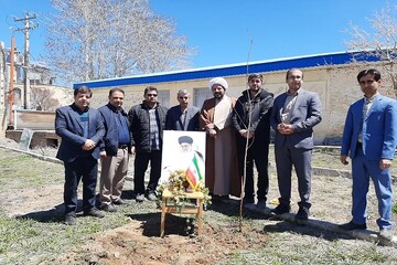 نهال بوئین میاندشت
