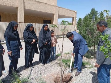 پویش امین-کرمان