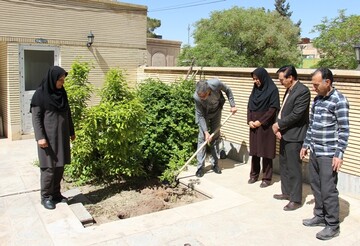 پویش امین-کرمان
