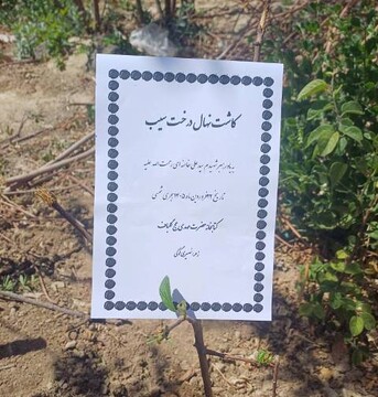 پویش امین-کرمان