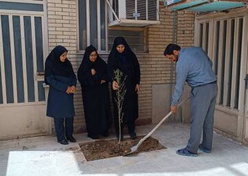پویش امین-کرمان