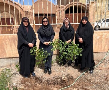 پویش امین-کرمان