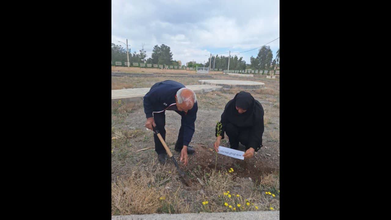 کاشت نهال در کتابخانه‌های اردستان؛ یادمان رهبر شهید و شهدای جنگ رمضان