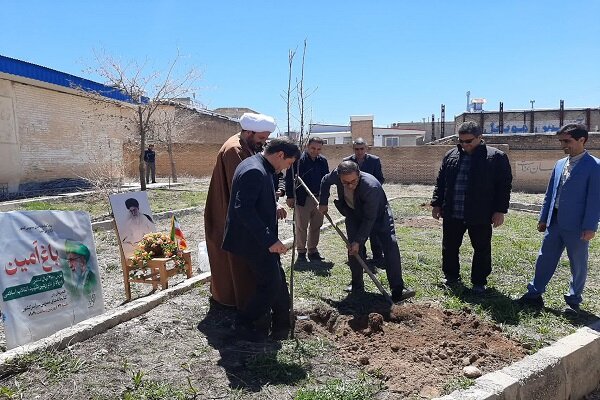کاشت ۲ اصله نهال مثمر در کتابخانه عمومی نبوت شهرستان بوئین میاندشت