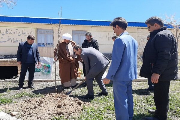 کاشت ۲ اصله نهال مثمر در کتابخانه عمومی نبوت شهرستان بوئین میاندشت