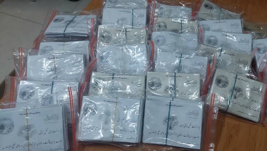 اهدای هزار بذر نخل تزئینی به کتابخانه عمومی شهید رجایی اهواز؛ گامی تازه در مسیر ترویج فرهنگ سبز