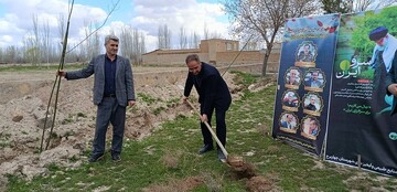 غرس نهال در پویش ملی «باغ امین» با حضور مدیرکل کتابخانه‌های عمومی آذربایجان‌غربی