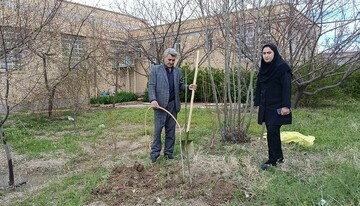 غرس نهال در پویش ملی «باغ امین» با حضور مدیرکل کتابخانه‌های عمومی آذربایجان‌غربی