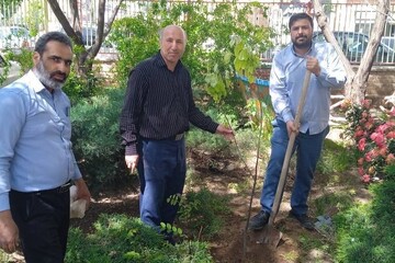 اداره کل کتابخانه‌های عمومی شهرستان  وکتابخانه عمومی  شهید هاشمی نژاد / شهرستان تایباد