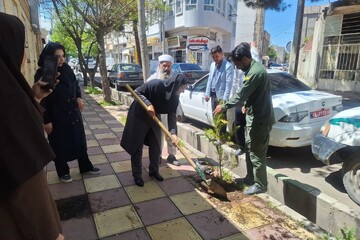 اداره کتابخانه و کتابخانه های عمومی تربت جام