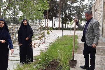 کتابخانه‌های عمومی شهرستان مه‌ولات 