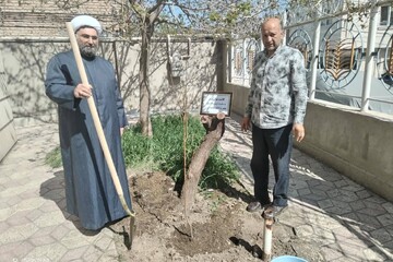 اداره و کتابخانه  عمومی امام خمینی (ره)/ شهرستان طرقبه