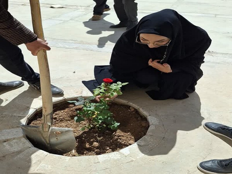 کاشت نهال مثمر درکتابخانه بعثت شهر وزوان
