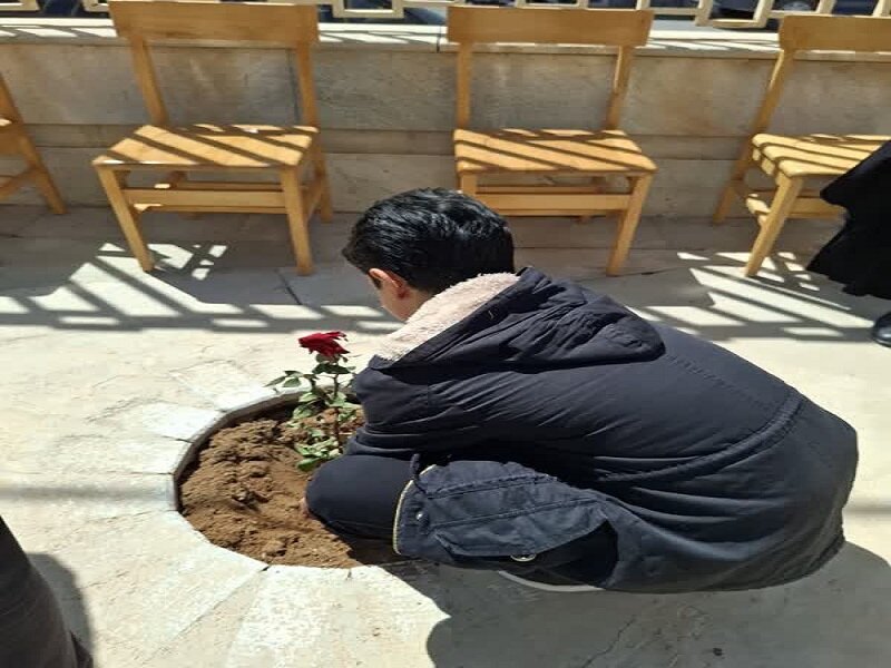کاشت نهال مثمر درکتابخانه بعثت شهر وزوان