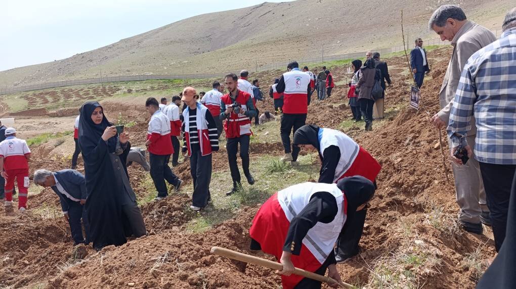 آیین درختکاری «رویش مهر» به یاد دختران شهیده جنگ رمضان در لرستان برگزار شد