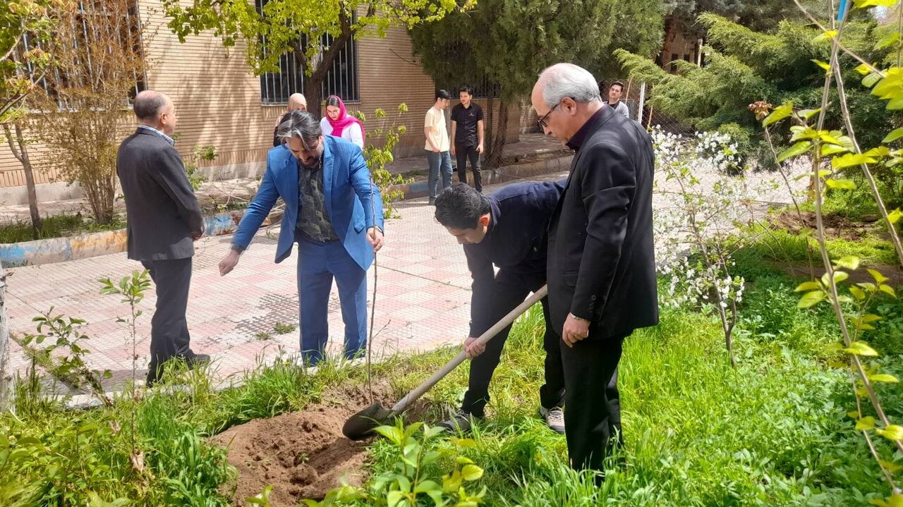 معاون الوند