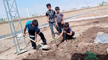 کاشت نهال در خرمشهر