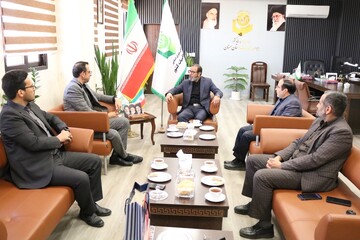 دیوان محاسبات