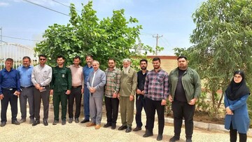 بازدید از کتابخانه