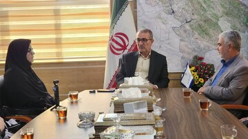 دیدار