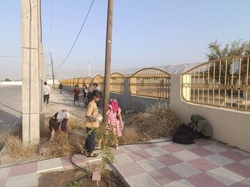 ساکنان هوشمند زمین