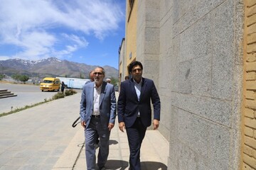 بازدید