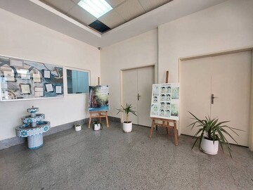برنامه فرهنگی