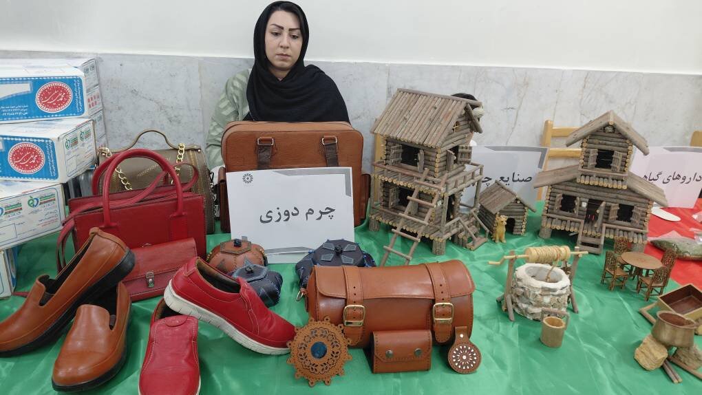 نمایشگاه صنایع دستی «اهالی کتاب» در کتابخانه ولیعصر(عج) سلطانیه برگزار شد