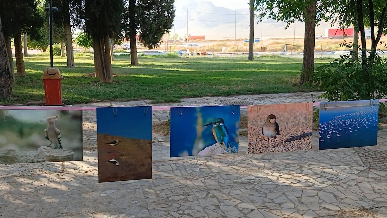 دوستان کوچک محیط زیست؛ کودکان سروستانی، سفیران حفاظت از تالاب مهارلو شدند