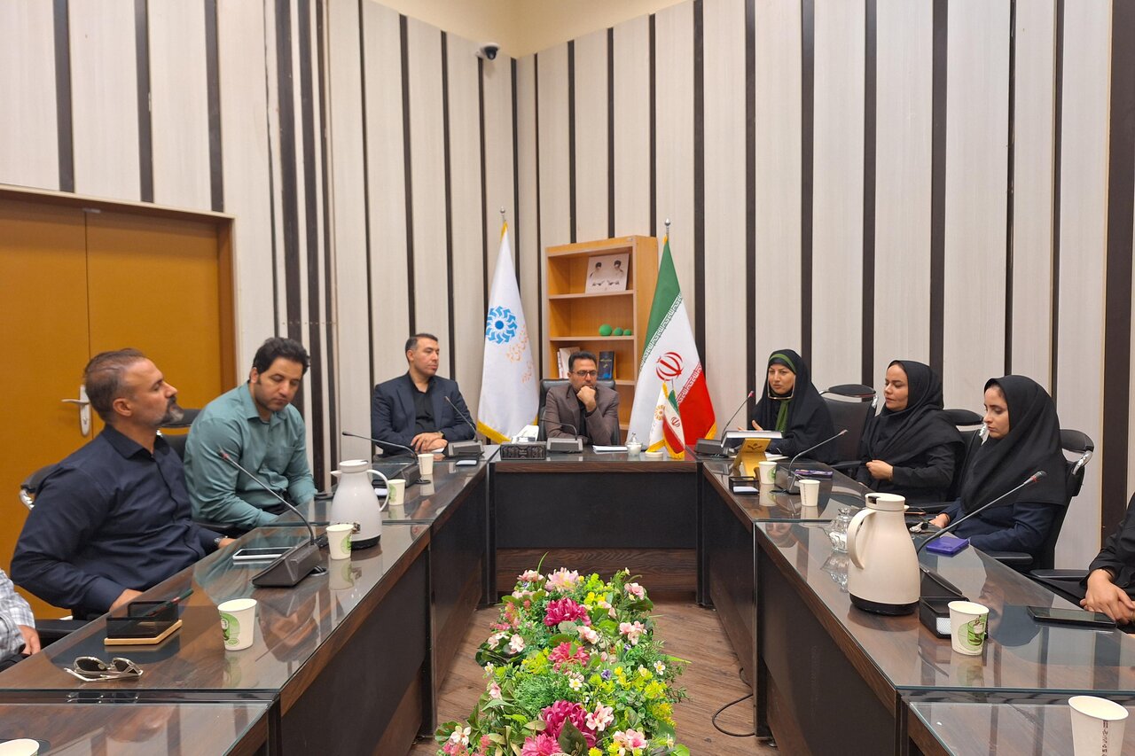 بررسی برنامه‌ها و مسائل کتابخانه‌های عمومی استان ایلام در شورای اداری