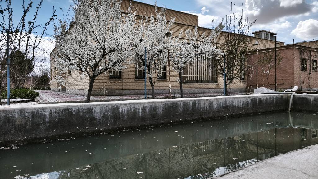 کتابخانه عمومی وایقان در فهرست پروژه‌های منتخب جایزه جهانی کتابخانه سبز ۲۰۲۶ قرار گرفت