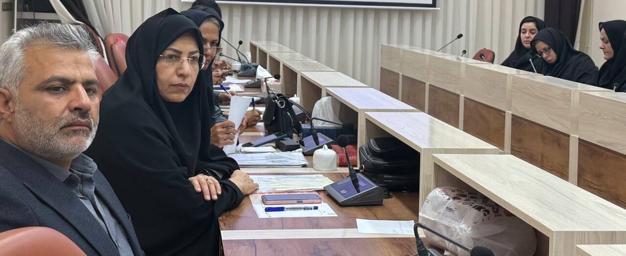 تأکید بر تسریع در روند تکمیل پروژههای عمرانی کتابخانههای عمومی خراسان جنوبی