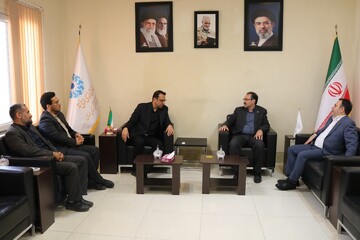 بازدید