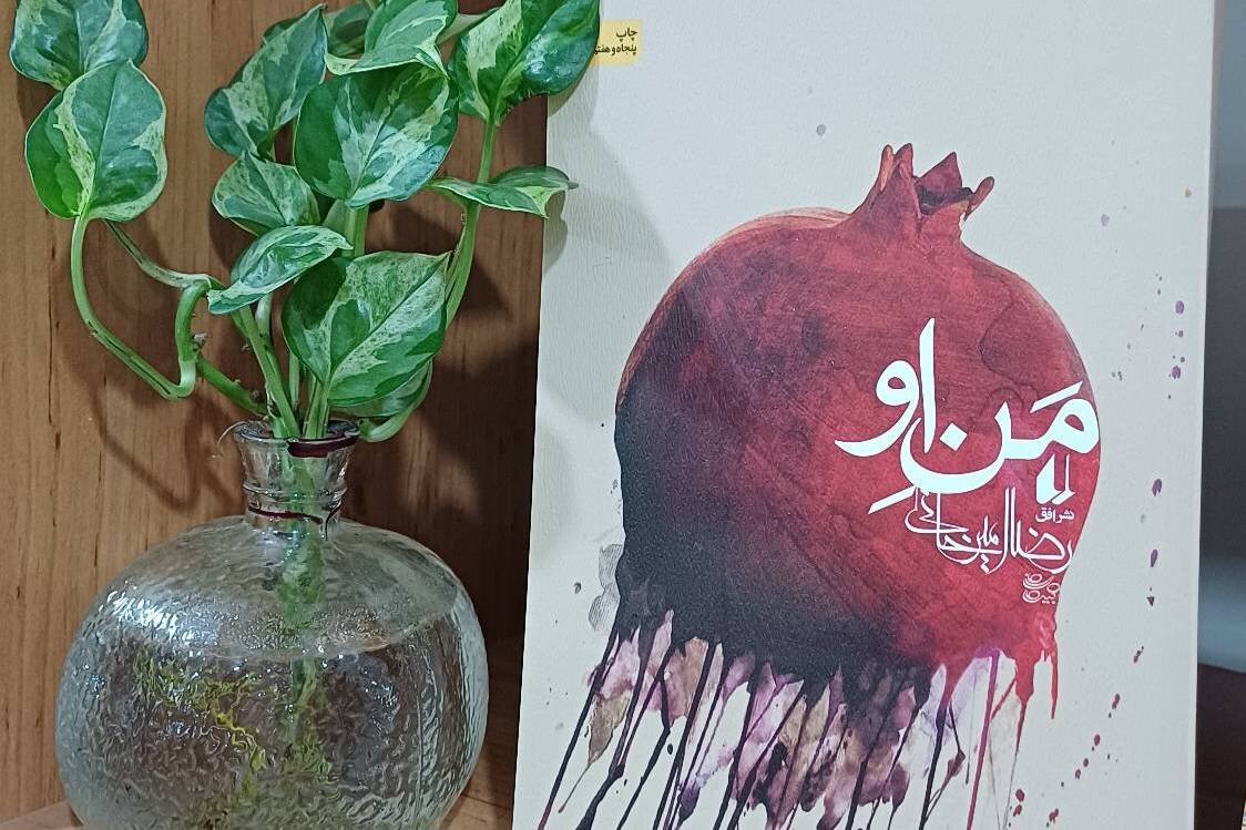 کتاب‌های منتخب «طرح شهرزاد» به کتابخانه‌های عمومی گلستان رسید