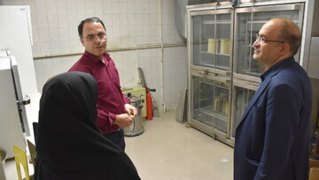 بازدید